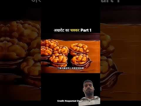 अखरोट का चक्कर part 1 #trending #funny #comedy