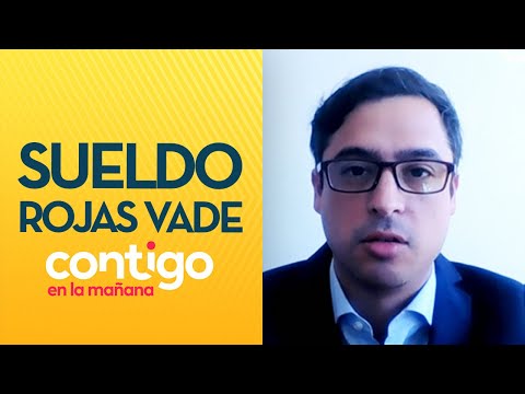 DONÓ SU SUELDO: Abogado de Rojas Vade aclaró situación del convencional - Contigo en La Mañana