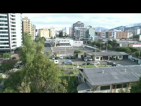 Quito: Fuertes vientos dejaron 23 árboles caídos y 7 techos desprendidos