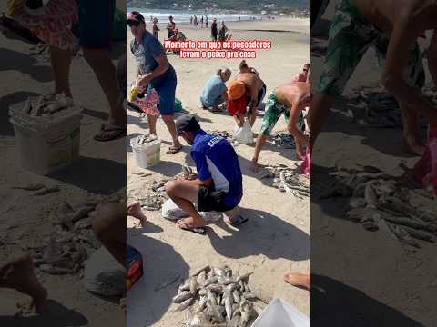 Momento em que os pescadores levam o peixe pra casa