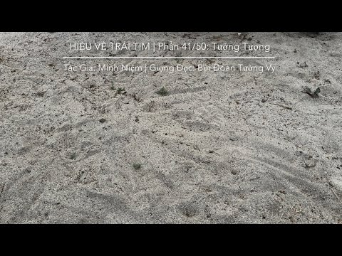 HIỂU VỀ TRÁI TIM | Tác Giả: Minh Niệm | Phần 41/50: Tưởng Tượng