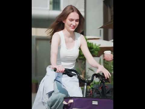 ROCKBROS HRS Triple Fold Chromoly Folding Bike 16  Lightweight 7 Speed Folding Bicycle