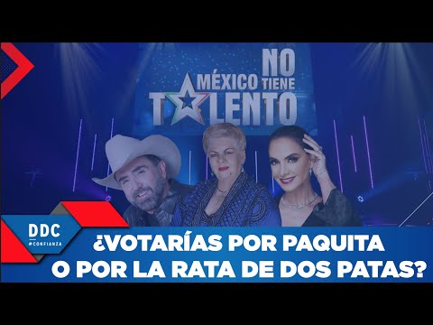 ¿Votarías por Paquita o por la rata de dos patas”