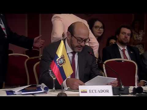 Palabras del viceministro de Ecuador,  Luis Vayas