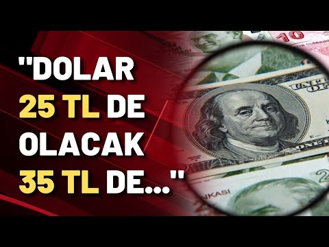 Alaattin Aktaş: Dolar 25 TL de olacak 35 TL de...