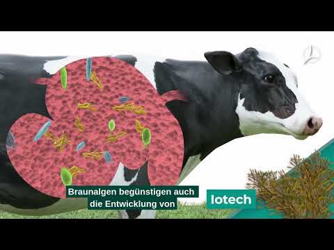 TIMAC AGRO: Unsere CALSEAGRIT Technologie 🪸🌱