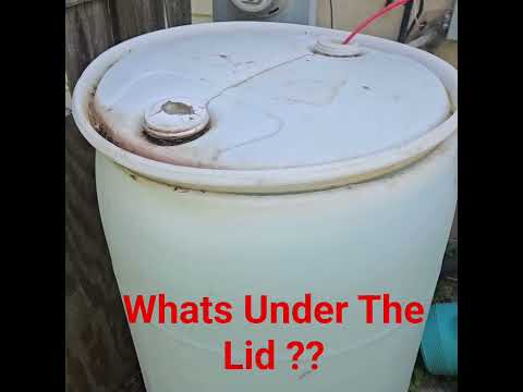 Look under the lid ... did you guess correctly  ?? 