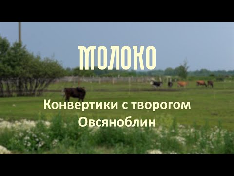 Конвертики с творогом. Овсяноблин | проект «Молоко»