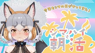 【朝配信】8月1日もシマハイと朝活♪【#シマハイの日2025  /#シマハイシン】