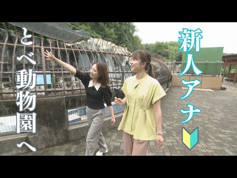 【とべとべZOO】新人・小川アナが動物園のニューフェイスと対面