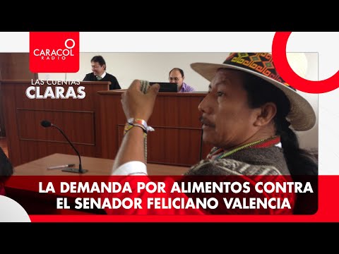 #LasCuentasClaras: La demanda por alimentos contra el senador Feliciano Valencia