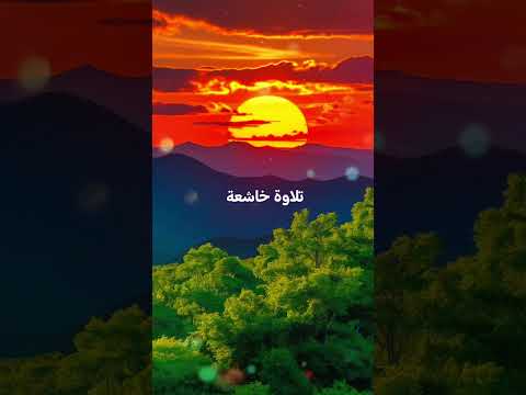 تلاوة خاشعة #دويتو #اكسبلور #duet #تيك_توك #لايك #حالات #حالات_واتس #لا