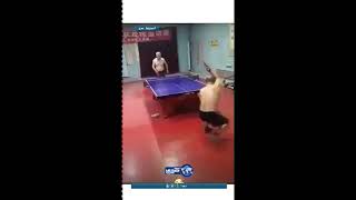 شيبان مُحترفين تنس طاولة