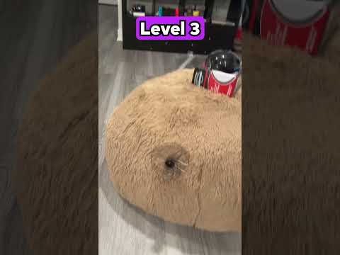 I Tested 4 Levels Of Alarm Clocks