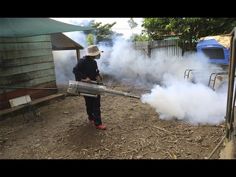 Fumigan casas ante la alerta por elevados casos de dengue en Lima Norte