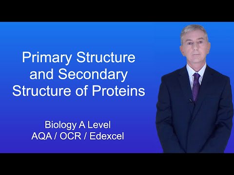 A Level Biology Revision "Protein Structure 1"