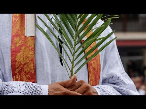 Semana Santa: la venta de palma de cera está prohibida