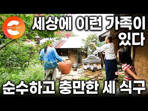 요즘 세상에 아직도 이렇게 사는 가족이 있다. 흙으로 집 짓고 나무로 불 때며 살아가는, 손발 척척 세 식구의 자급자족 생활ㅣ#한국기행