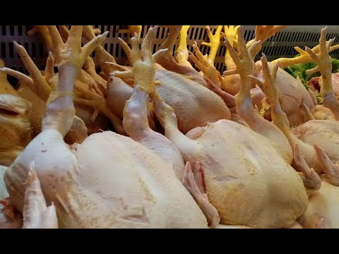 Ola de calor: ¿Subió el precio del pollo en los mercados?