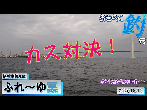 【#横浜・#ふれ~ゆ裏】#おきらく釣行【2025/10/10】