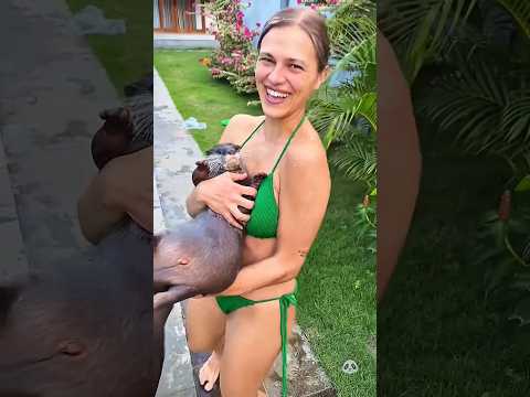 ৩১ অক্টোবর, ২০২৫