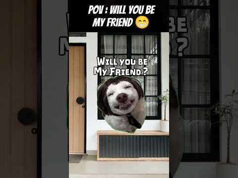 #catvideo#catfunny #cats #shorts