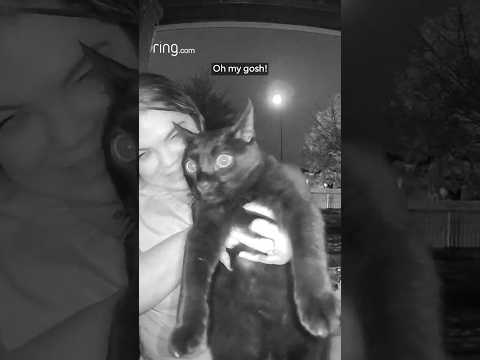 This cat's reaction to the Ring Cam! 😂
