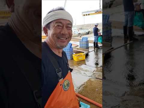 わたぽんのおすすめはチダイ!2025年10月3日の片名市場の様子 #へんな魚おじさん #片名市場