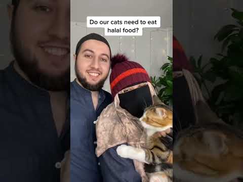 Do NOT assume THIS about Muslim pets! #shorts