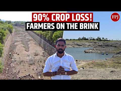 Maharashtra Drought Ground Report: <strong>90</strong>% Crop Loss, Farmers Face Total Ruin <strong>in</strong> Parner