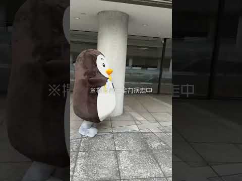 ホゴちゃんの障害物競走