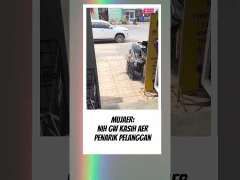 kucing mujaer emang beda 😂 #kucing #videolucu #fyp