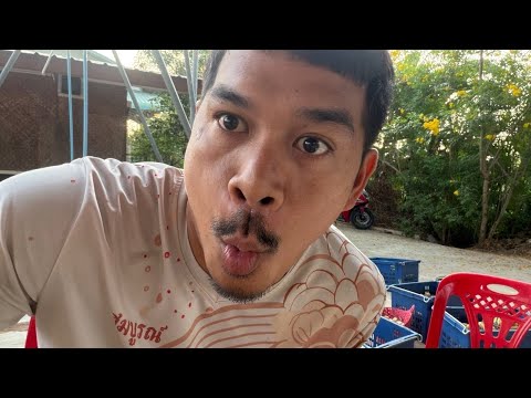 ระทึก💯🥰Elephant Thailand