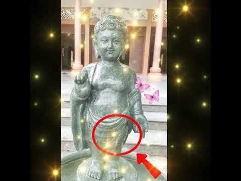 Khi cha mẹ sai, con nên im lặng hay phản ứng?  #loiphatday #shorts