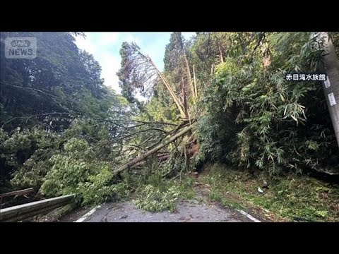 ニュースの動画サムネイル - 「日本の滝100選」が…　観光地への道“通れない”【スーパーJチャンネル】(2025年8月4日)