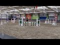 Springpony Talentvolle 6-jarige allround pony - Take off van Prinseveld