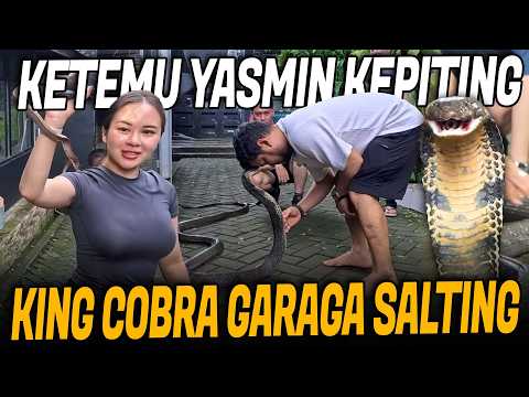 PERTEMUAN GARAGA KING COBRA KETEMU YASMIN RATU KEPITING