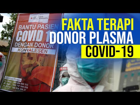 Donor Plasma Konvalesen, Solusi Penyembuh Pasien Covid 19