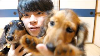 動画サムネイル