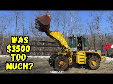 ITS DONE! (Mostly) Auction Loader, was it REALLY worth fixing??