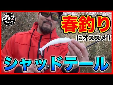 【バス釣り】初心者向け！シャッドテールで春釣り講座してみた！！