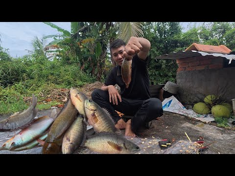 Một ngày Dầm mưa đi lên ruộng giăng lưới thỳ sẽ như thế nào