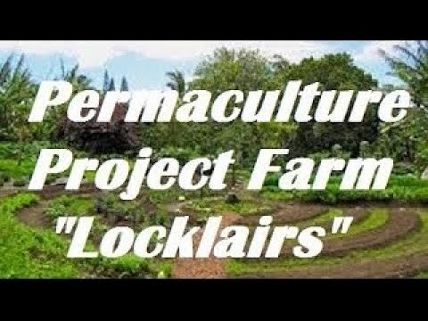 2025 Project Farm Late Summer Walking Tour