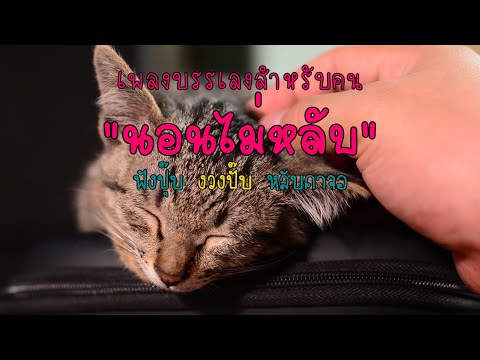 RelaxSleepMusicเพลงบรรเลงกล