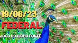 ▷ 4 palpites do jogo do bicho das 19 horas federal de hoje » Domiplay