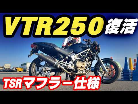 【VTR250復活】キャブ車を徹底整備!TSRマフラー仕様で蘇るVツインの快音とスポーツ走行