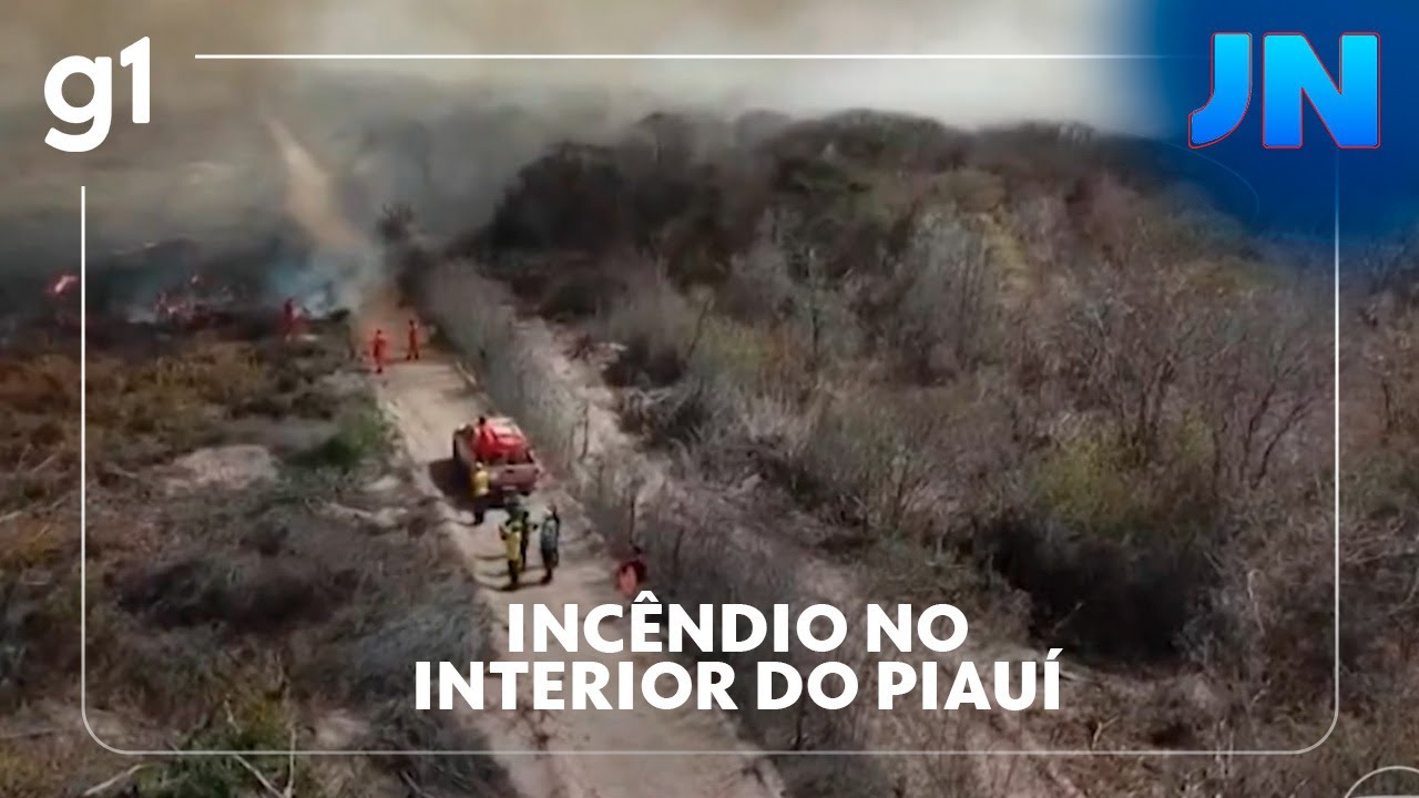 JN Bombeiros combatem incêndio florestal há oito dias no interior do Piauí