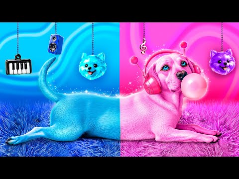 迷子のワンちゃんを救った！ペットの秘密基地を作ろう！青VSピンク！