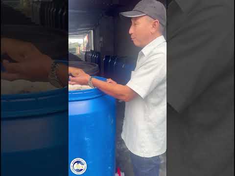 Cá cơm ba lài - Nguyên liệu làm nước mắm phú việt