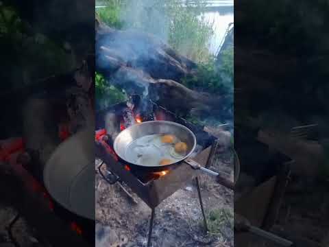 рибалка на дикого трофея #fishing